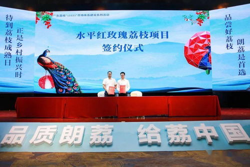 品質(zhì)朗荔 給荔中國 2021第七屆中國·東莞互聯(lián)網(wǎng)荔枝節(jié)暨大朗荔枝品牌文化推廣盛大啟動